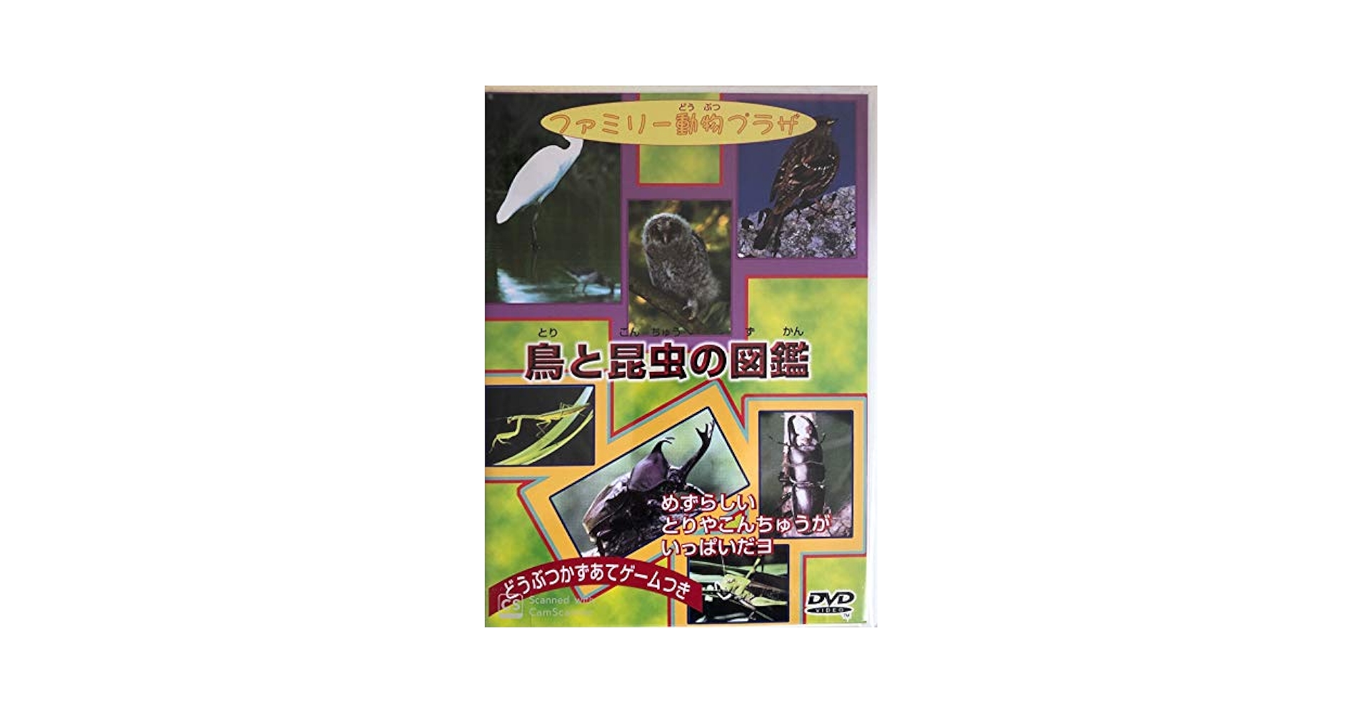 ファミリー動物プラザ 鳥と昆虫の図鑑 Amazon.co.jp: ファミリー動物プラザ 鳥と昆虫の図鑑 : DVD